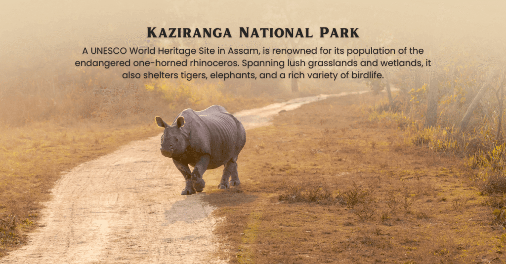 Guwahati Shillong Kaziranga Tour Package