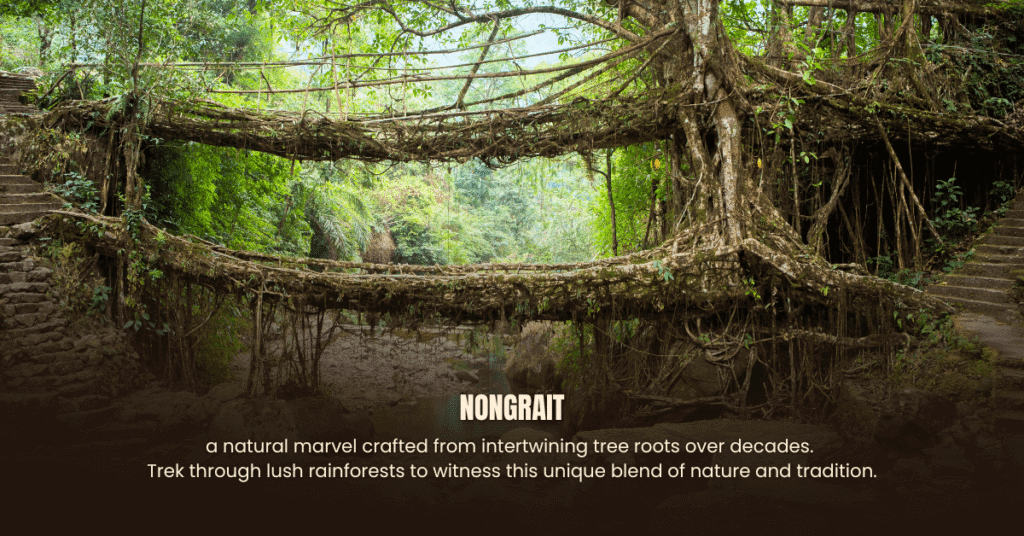 guwahati shillong tour package