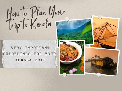 tour plan for kerala