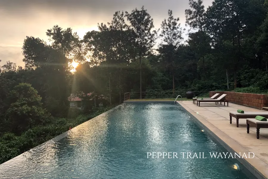 pepper trail wayanad