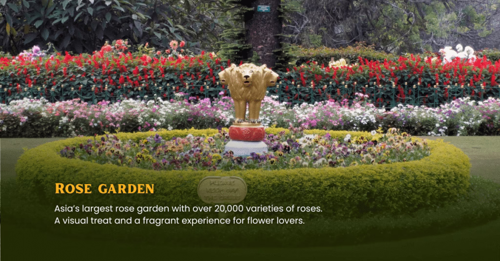 ooty tour packages from mysore