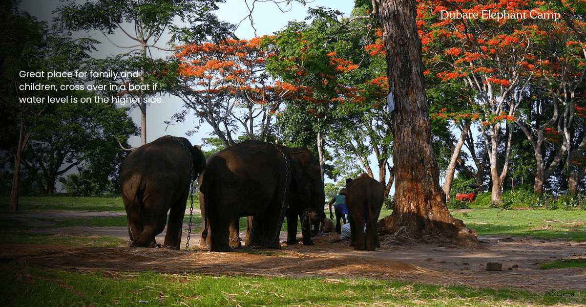 mysore coorg itinerary