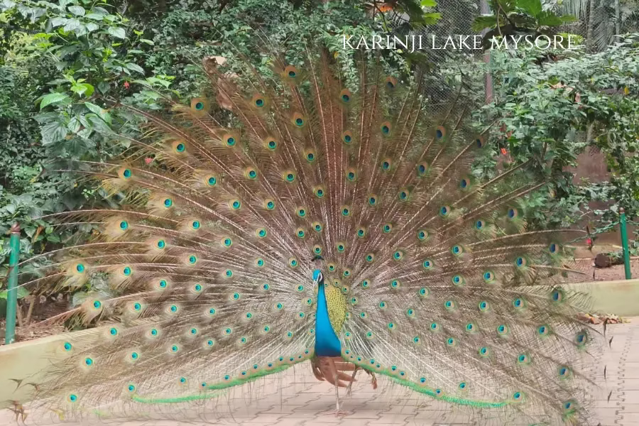 places to visit in Mysore